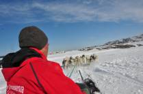 Nosso 'motorisra' nos levar para passear de dogsleding em Ilulissat, na Groelândia